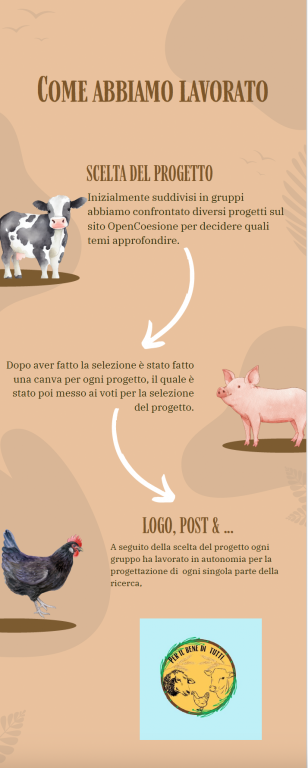 Per una riduzione della contaminazione dei mancini L'infografica ripercorre le fasi della fase 1: informazione sulle politiche di coesione, scelta del progetto e stesura del report