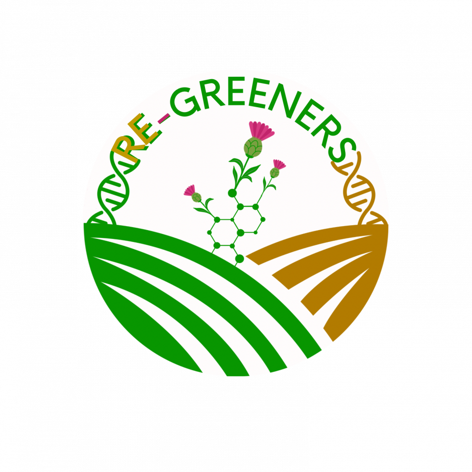logo scuola