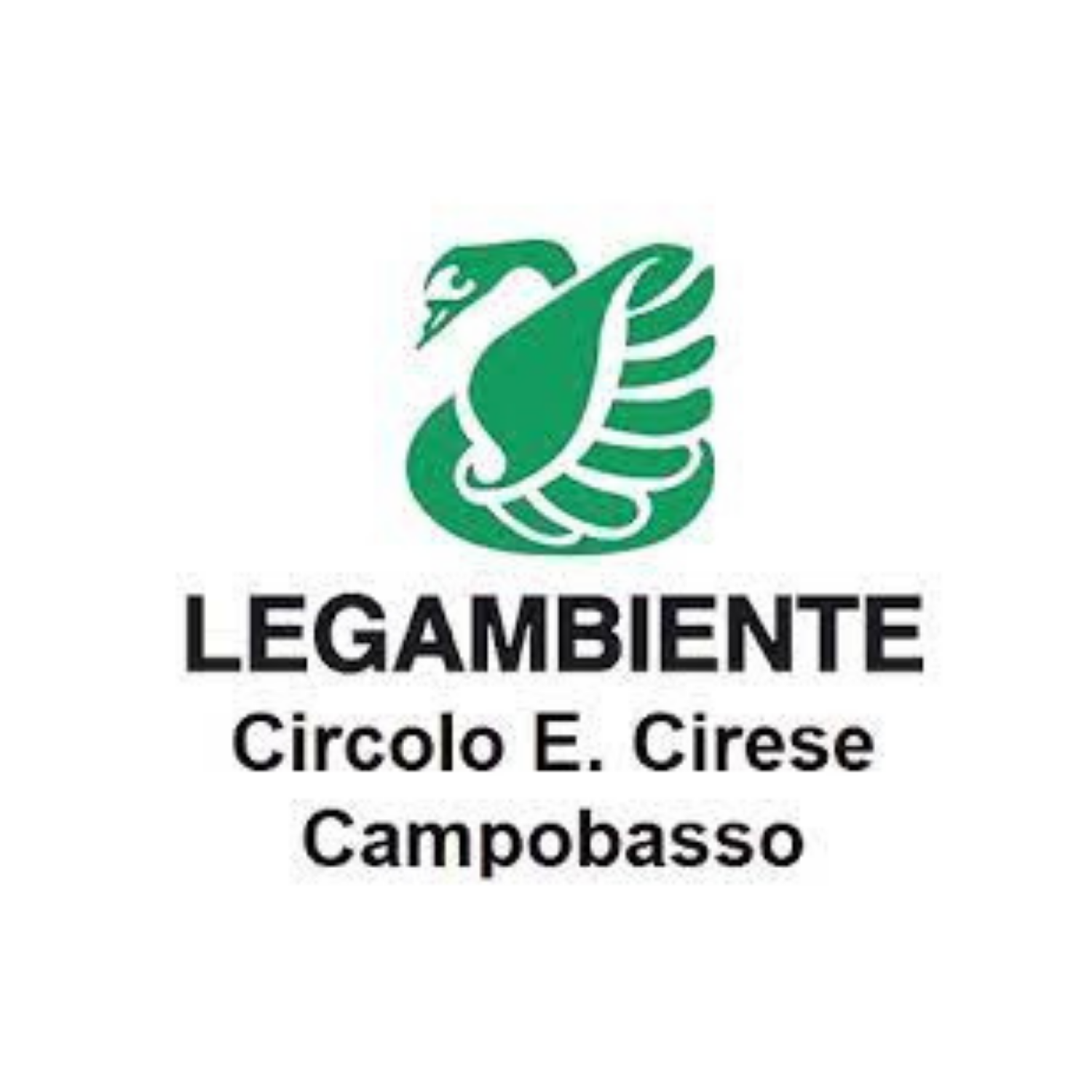 logo legambiente campobasso