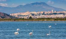 Saline Cagliari