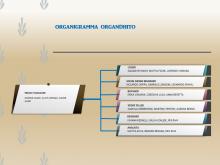 Organigramma del team Organdhito