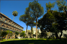 Palazzo reale con giardino