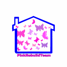 Pink Rebuild Team Classe 4° CAT dell'I.I.S. Merendino