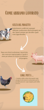 Per una riduzione della contaminazione dei mancini L'infografica ripercorre le fasi della fase 1: informazione sulle politiche di coesione, scelta del progetto e stesura del report