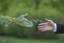 La foto rappresenta la stretta di mano tra la natura e l'uomo.