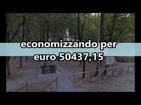 Video di analisi dei dati del progetto. La classe lavora in DAD per questo progeto.