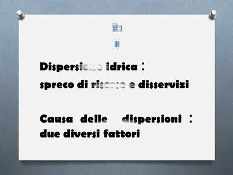 illustrazione dei risultati ottenuti dalla attività di monitoraggio del progetto scelto